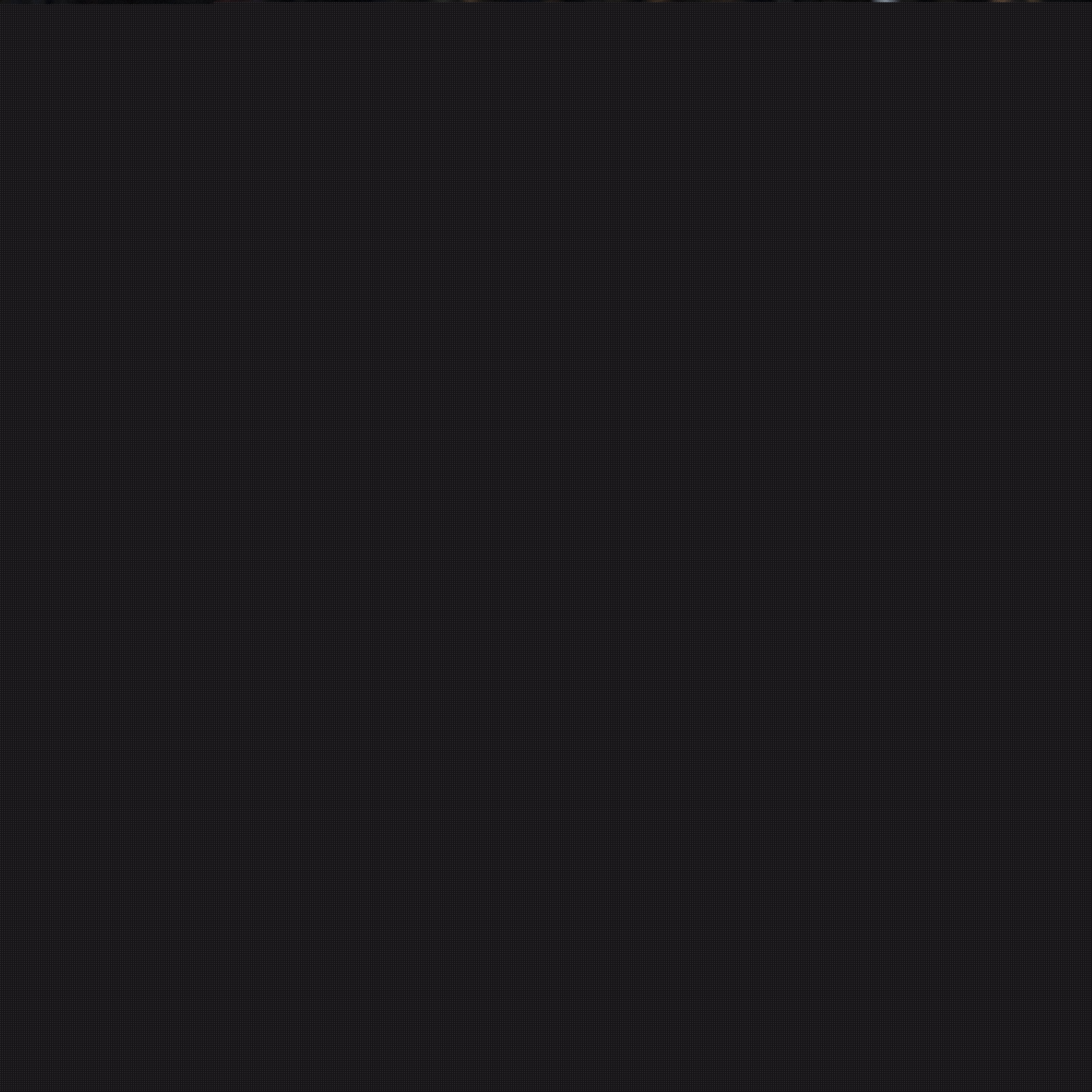 行动纪念科